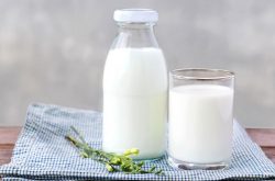 Sữa và chế phẩm từ sữa rất tốt cho người mắc bệnh loãng xương