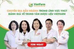 Trung Tâm Dược Liệu Vietfarm - Đơn Vị Cung Ứng Dược Liệu Sạch Đạt Chuẩn GACP Được Chuyên Gia Đầu Ngành Đánh Giá Cao