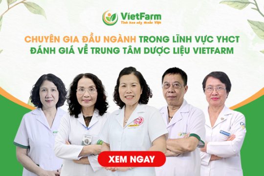 Trung Tâm Dược Liệu Vietfarm - Đơn Vị Cung Ứng Dược Liệu Sạch Đạt Chuẩn GACP Được Chuyên Gia Đầu Ngành Đánh Giá Cao