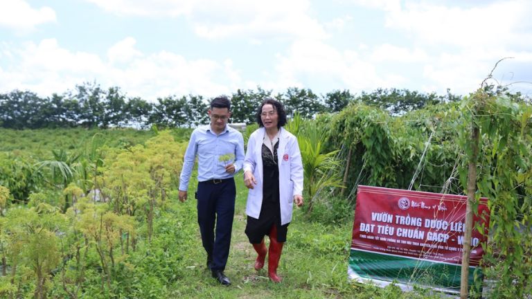 Bác sĩ Lê Phương đến thăm vườn thảo dược chuẩn GACP-WHO